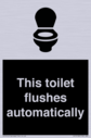 this-toilet-flushes-automatically~